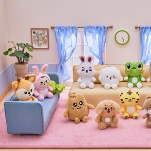 现货 小17钥匙扣玩偶 seventeen尹净汉洪知秀权顺荣毛绒挂件