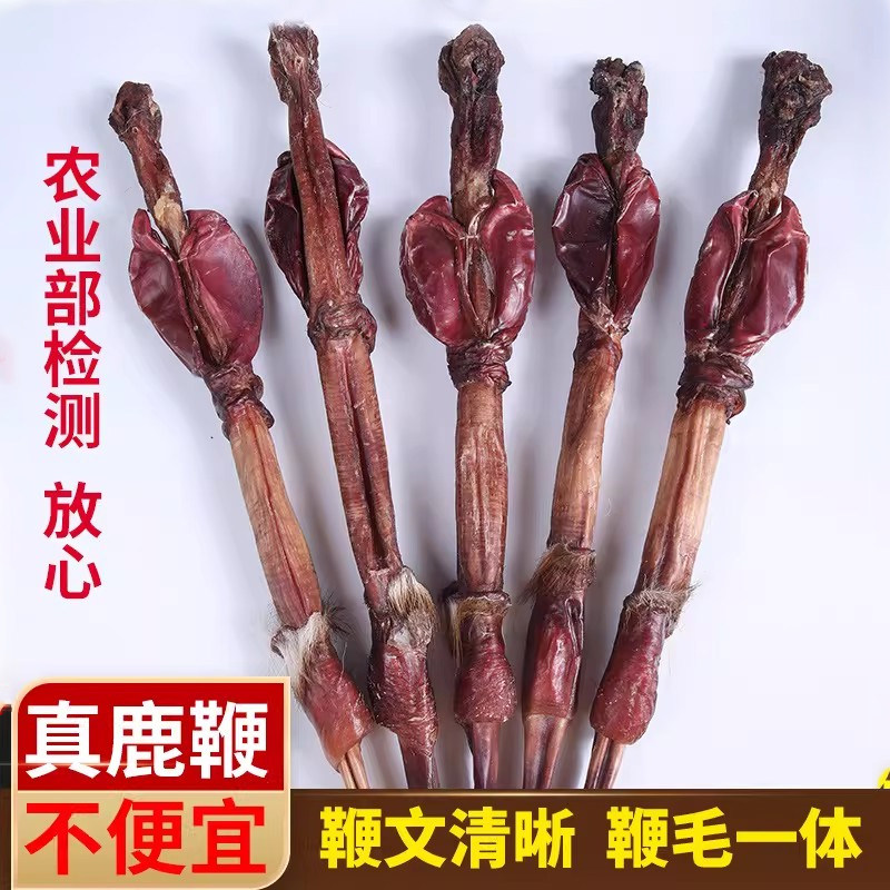 原鞭原肾真梅花鹿鞭假一赔十