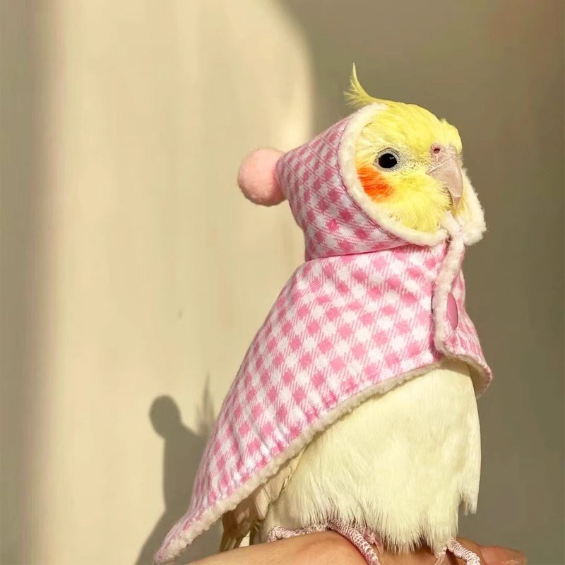 鹦鹉披风斗篷鸟衣服鹦鹉披风玄凤加厚保暖外出S服鹦鹉用品鸟用品