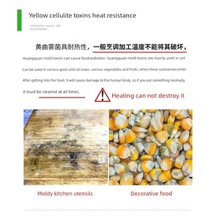 笔蓝光灯b灯蒜台蔬菜测试波尔多液黄曲霉素检测剂蓝帆检测检测荧