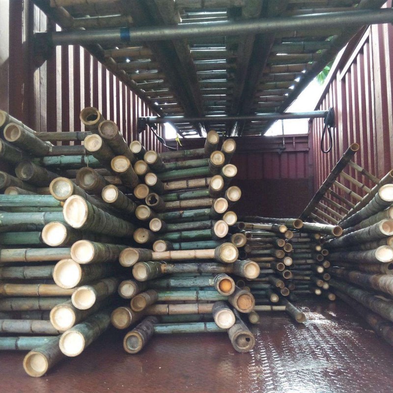 竹梯竹梯子直梯2米到3米4米y 家用工程电力直梯工程梯子幼儿园竹