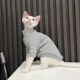 加厚绒高领毛衣无毛猫衣服德F文衣服斯芬克斯猫任发财