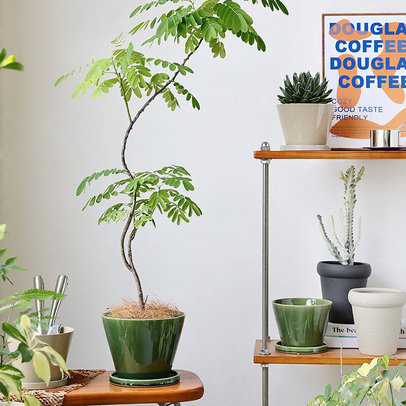 北欧釉变陶瓷h花盆日式创意个性苔藓球渐变绿色花盆大号工厂