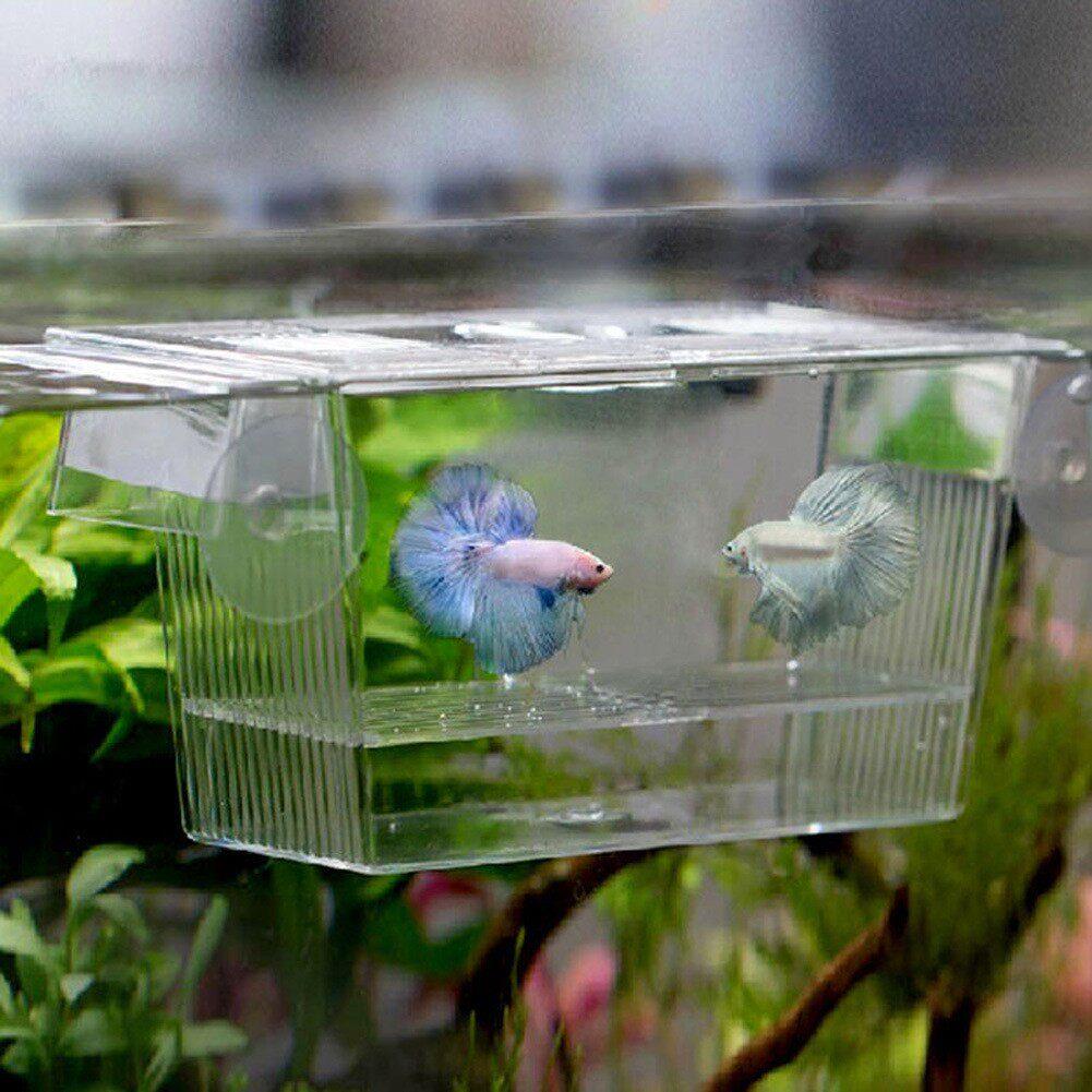 亚克力水族箱鱼缸孵化盒隔离盒优质多用途幼鱼繁殖产盒孵化器