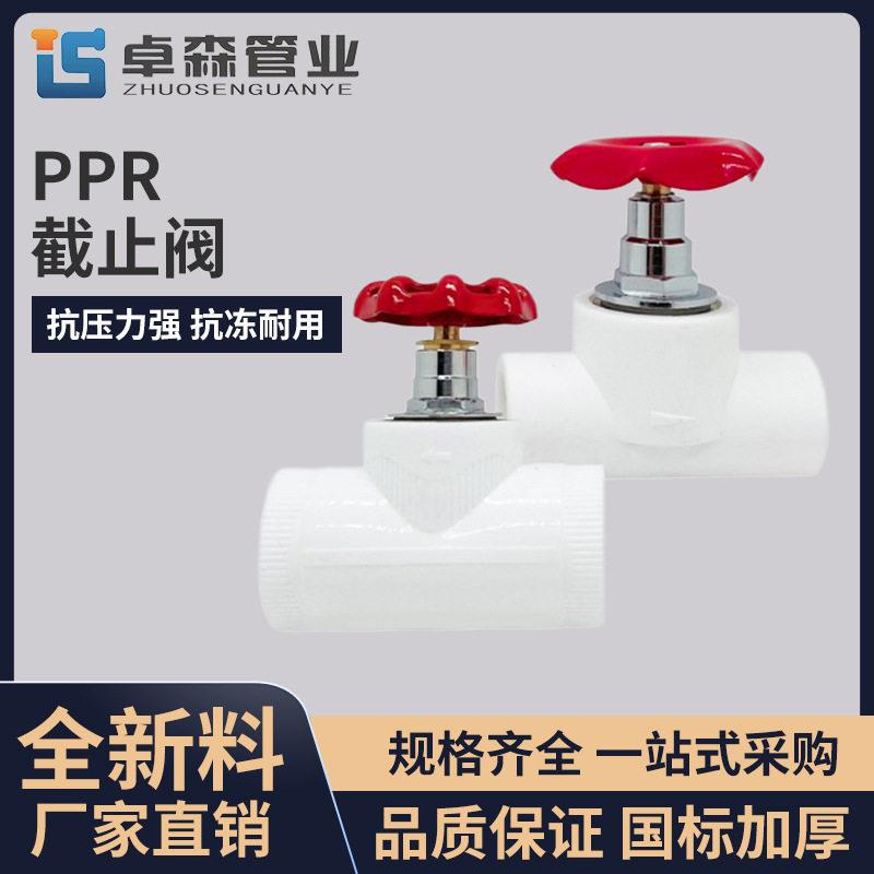 厂家直销PPR升降式截止阀精品卡簧式63PPR截止阀PE全新料管件20