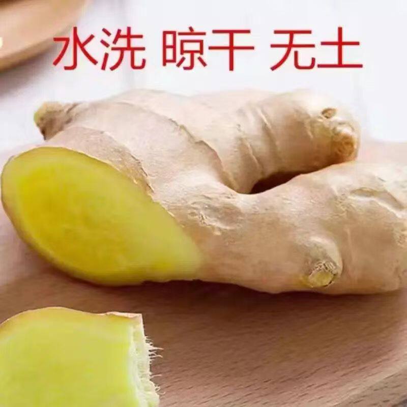 生姜山东特产无土辛辣味浓的生姜大块姜大黄姜新鲜月子姜q