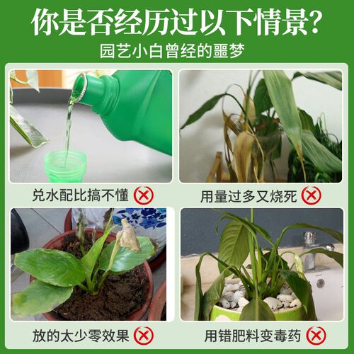 一帆风顺营养液花肥白掌水培盆D栽植物营养液白鹤芋专用肥料