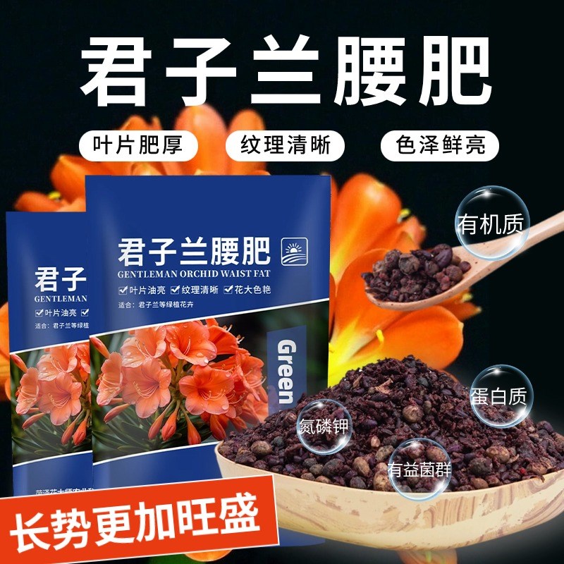 君子兰专用肥f盆栽腰肥底肥豆肥蓖麻子饼肥控释促开花营养有机肥