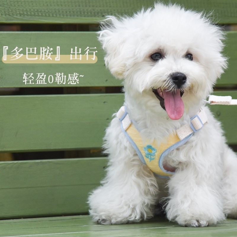 狗狗牵引绳背心i式胸背带狗绳子泰迪柯基中小型犬遛狗牵引绳外出