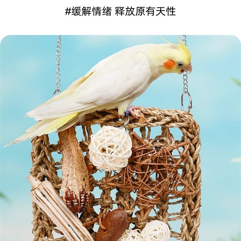 鹦鹉攀爬网小鸟解闷自嗨虎皮牡丹啃咬玩具小太阳S玄凤鸟笼玩具大,宠物/宠物食品及用品,鸟玩具,淘宝优惠券,粉丝福利购,淘宝优惠卷