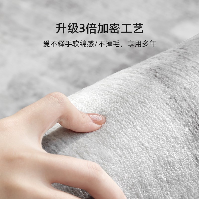 意式极简地毯客厅2025t新款卧室床边毯免洗可擦家用房间茶几地毯