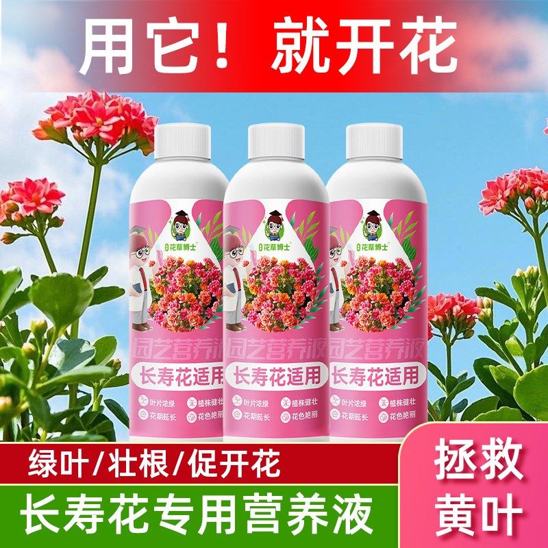 长寿花肥料开花养花促花长w寿花专用肥料长寿花营养液营养颗粒肥,鲜花速递/花卉仿真/绿植园艺,家庭园艺肥料,淘宝优惠券,粉丝福利购,淘宝优惠卷