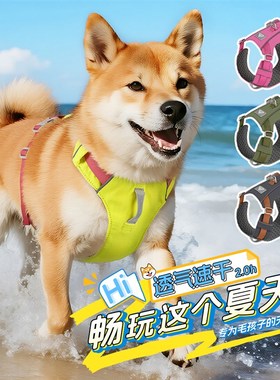 超轻透气狗狗牵引绳背心式胸背泰A迪比熊柯基幼犬胸抱婴袋宠物遛
