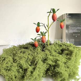 仿真苔藓微景观装饰块状线状草皮软装搭配绿植造景室内植被假青苔
