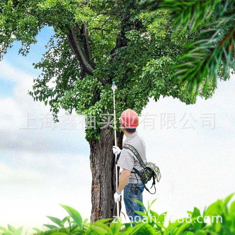 3.6米延平12V-20A 电动修剪机高枝剪锯 苗木修枝 桂花 果树高枝剪