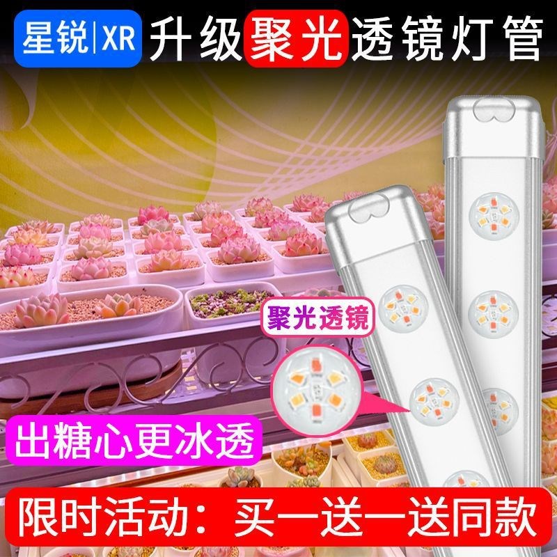星锐多肉补光灯家用上色 全光谱植物生长灯 仿太阳leXd紫外线室内
