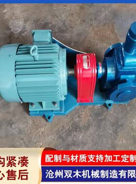 供应铸铁圆弧齿轮泵YCB系列圆弧泵YCB4/0.6船用齿轮油泵