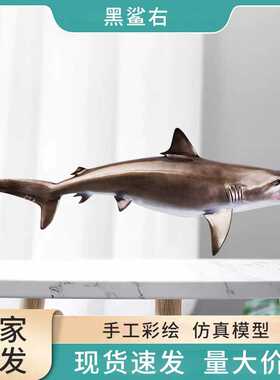 室内装饰黑鲨鱼立体单面仿真鱼模型玻璃钢雕塑海洋工艺品墙壁挂饰