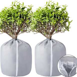 植物冬季盆栽防冻保护袋 花艺植物保护罩 保温袋 果树防寒防冻罩