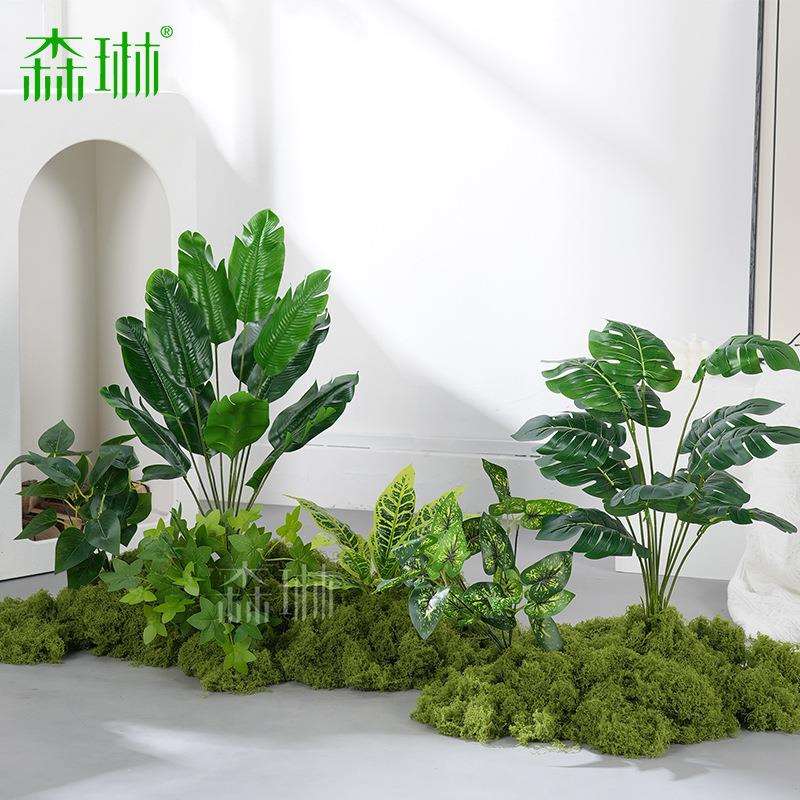 绿植地面造景假花装饰植物组合凹槽角落场景遮丑室内苔藓布置图片