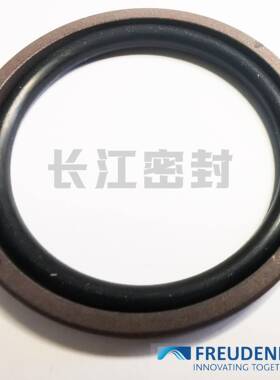 进口密封圈组合油封OMK-S70-55-7.280-60-9.680-60-9.6迈克