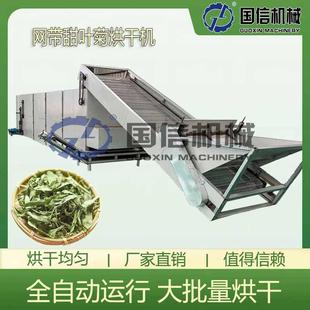 大型連續(xù)糖菊恒溫脫水干燥機(jī)糖菊甜草烘干設(shè)備網(wǎng)帶甜葉菊烘干機(jī)