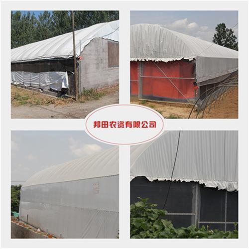 黑白膜加厚养殖塑料大棚膜防渗膜保温隔热防水无滴膜农用膜