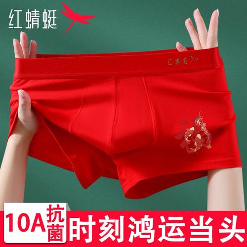 红蜻蜓男士内裤红色纯棉
