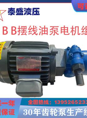 RBB-210Y/212/216/220/204Y摆线齿轮油泵RBB-208Y20.75/1.5W