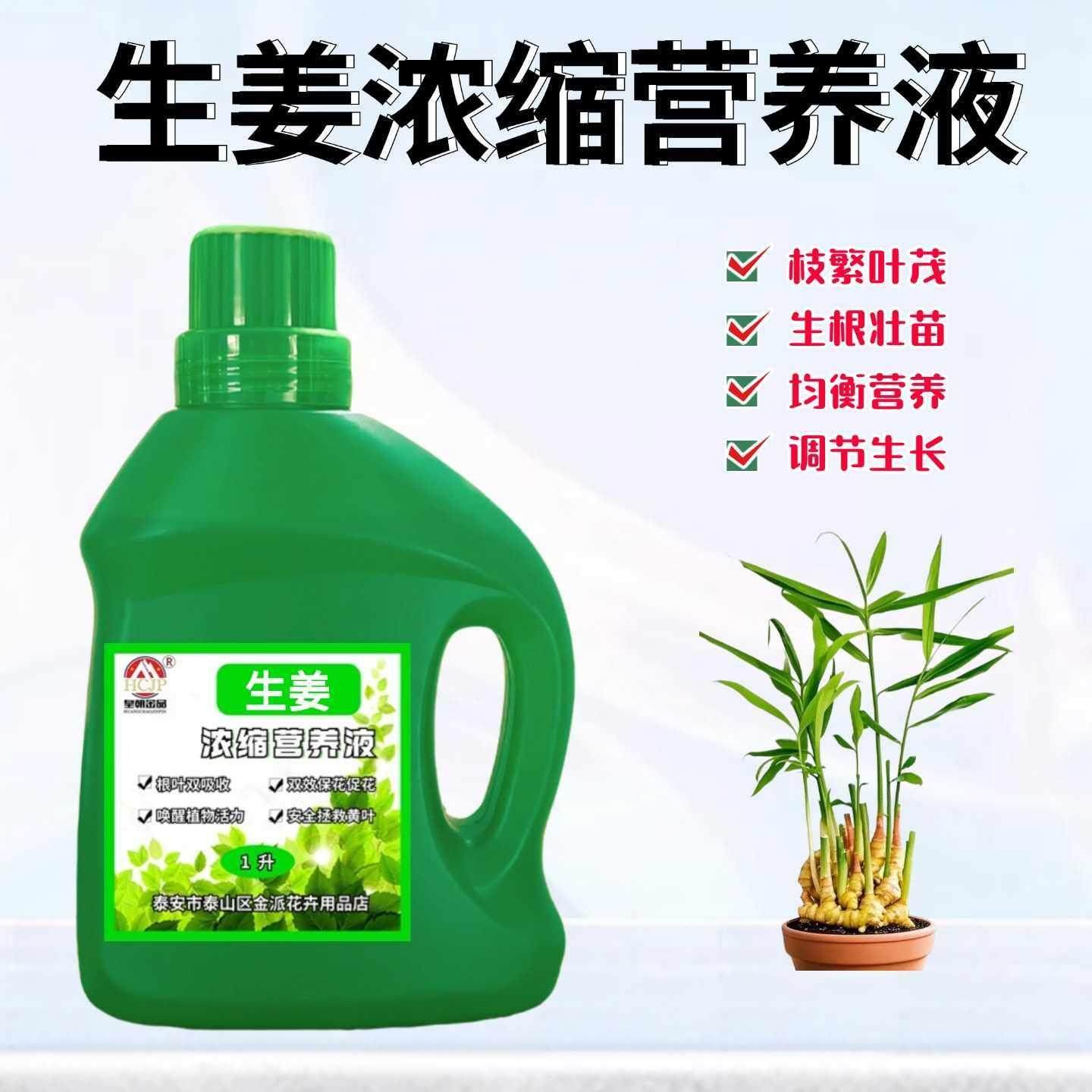禄根生姜一桶姜山浓缩营养液水培盆景地栽绿植专用氮磷钾水溶肥料,鲜花速递/花卉仿真/绿植园艺,家庭园艺肥料,淘宝优惠券,粉丝福利购,淘宝优惠卷