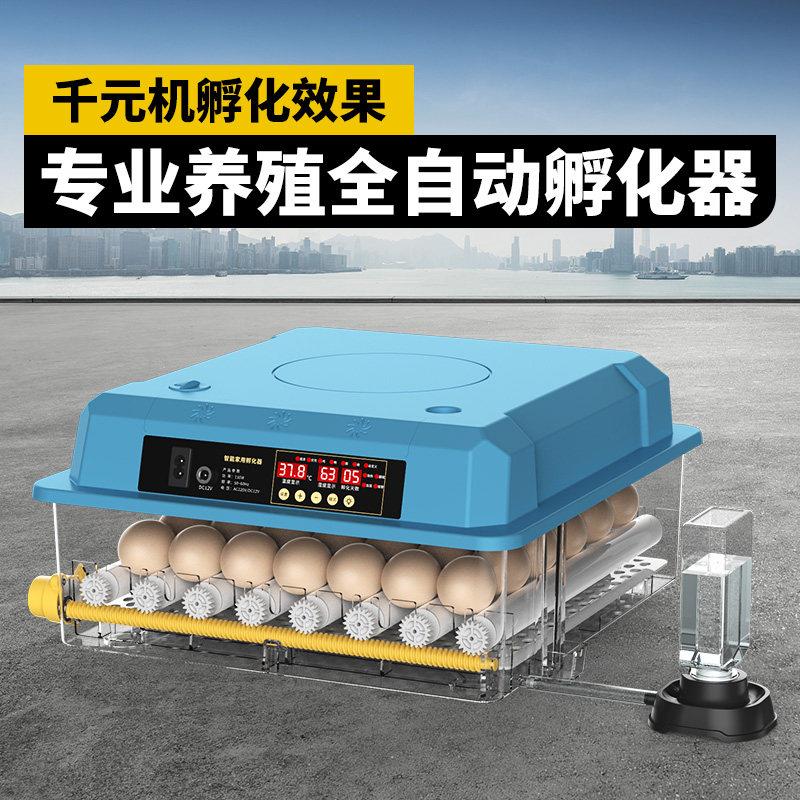 维谦孵化器小型家用迷你孵化机智能全自动小鸟蛋芦丁鸡恒温孵蛋箱