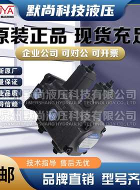 CHUYA叶片泵TCVP-F20-A液压泵TCVP-F20-A3*A TCVP-F40-A4-1油泵