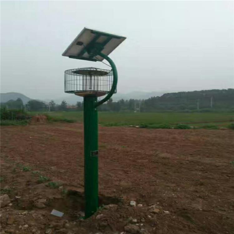 太阳能频振式防护网杀虫灯户外林农业灭蛾果园茶园诱虫养殖灭蚊灯