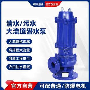 排污泵立式 QW无堵塞潜水排污泵铸铁电动污水泵切割式 搅匀潜污泵
