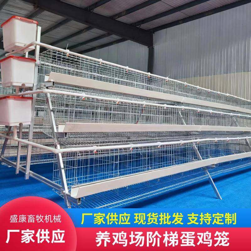 养鸡场用A型阶梯蛋鸡笼层叠阶梯式笼后镀锌养殖设备养鸡蛋鸡笼子