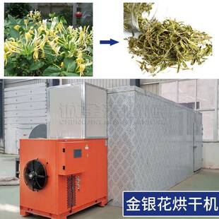 中草药烘干设备 天麻党参箱式干燥机 金丝皇菊金银花烘干机