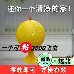 守果果室内果蝇小飞虫克星灭蝇神器安全环保持久粘性苍蝇防蚊虫