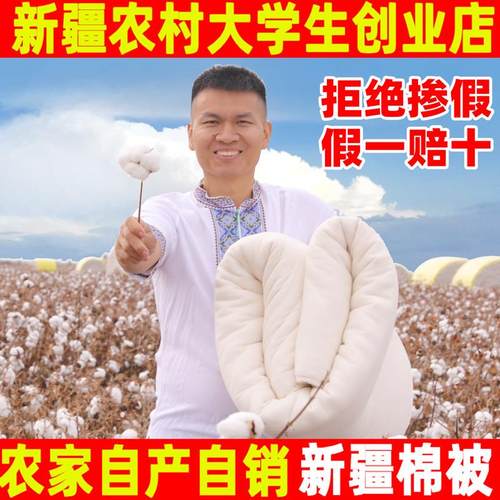 100%新疆棉纯棉花被全棉被芯棉絮床垫被褥子冬被棉胎一级被子