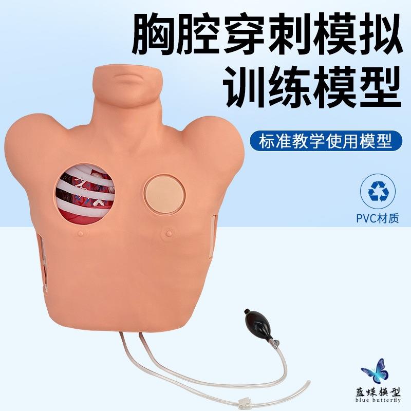 胸腔闭式引流模型 胸腔穿刺训练模型 胸腔创伤后气胸引流处理模型