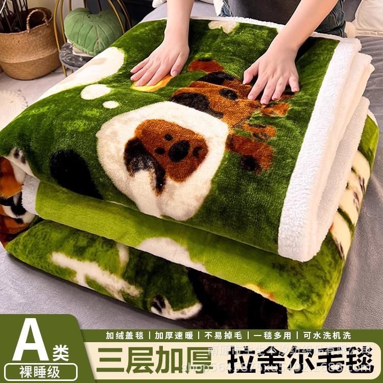 加厚拉舍尔毛毯被子午睡办公室披肩盖毯儿童珊瑚法兰绒面毯子床单