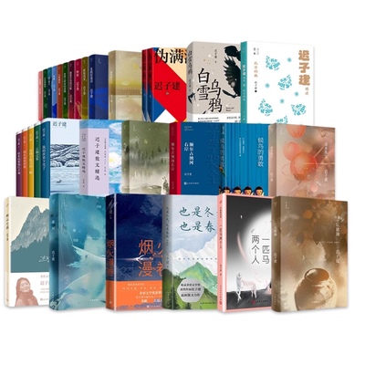 【迟子建作品任选】 迟子建作品全集散文小说合集精选额尔古纳河右岸北极村童话伪满洲国也是冬天也是春天 正版书籍