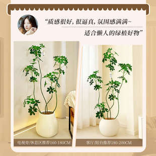 仿真绿植室内盆栽大型仿生植物假树轻奢客厅装饰品落地摆件仿真花