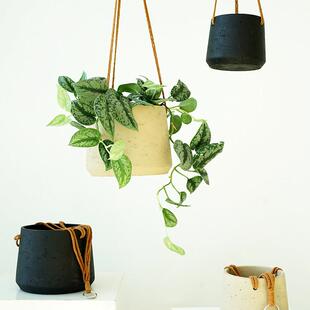 壁挂式花盆，小挂植物挂篮，户外蕨类球兰挂盆，陶瓷挂蜘蛛兰挂绿