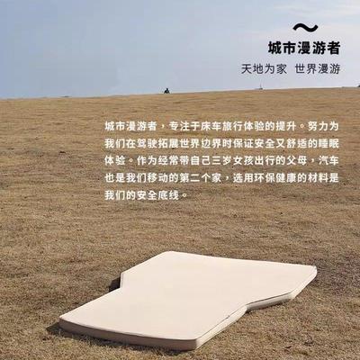 城市漫游者 蔚来EC6车载床垫后排充气床旅行双人奶酪海绵TPU环保