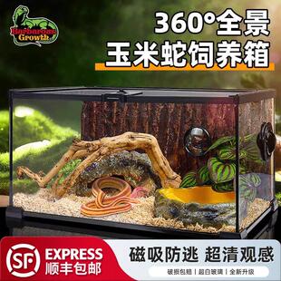 BG爬宠饲养箱玻璃爬缸蜥蜴守宫蛇甲虫陆龟爬宠爬虫盒角蛙饲养箱
