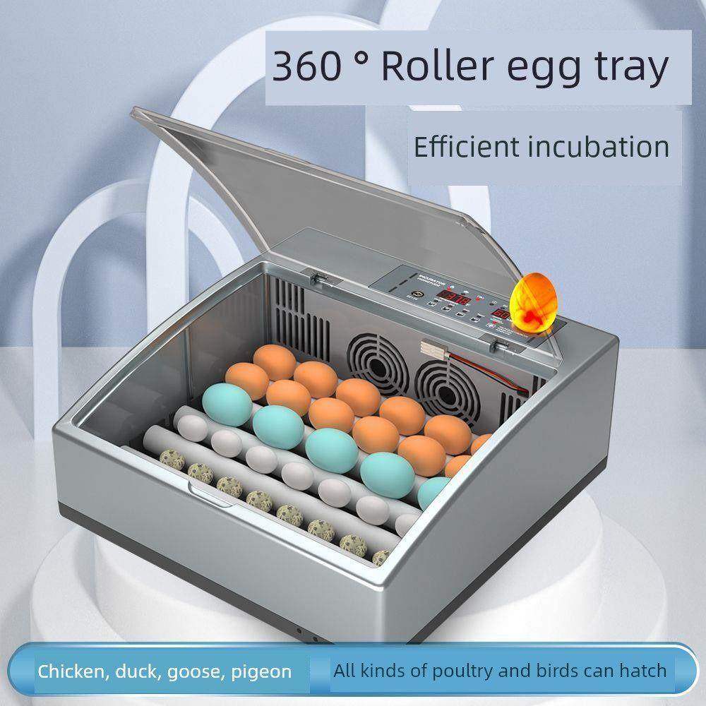 孵蛋器孵化机孵化器鸡鸭鹦鹉蛋小型家用型全自动智能芦丁鸡孵化箱,五金/工具,电热工具,淘宝优惠券,粉丝福利购,淘宝优惠卷