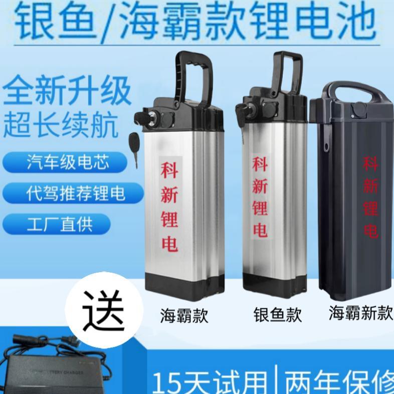代驾折叠电动车48v锂电池12ah20ah大容量银鱼海霸款手提防水电瓶