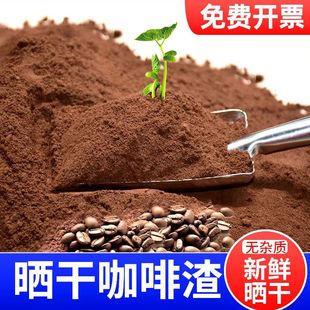 咖啡渣除味 新房去甲醛 除异味烟灰缸灭烟除臭活性炭包磨砂膏