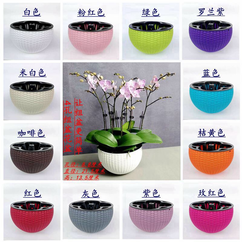 蝴蝶兰组盆花盆控根专用铁皮石斛圆形塑料透气洋兰卡特兰定植篮