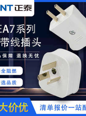 电源插座二脚三脚电源插头NEA7家用 10A三孔两孔排插线插头